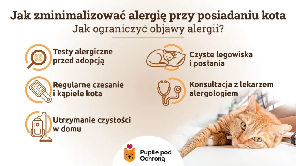 Infografika opisująca jak zminimalizować alergię przy posiadaniu kota