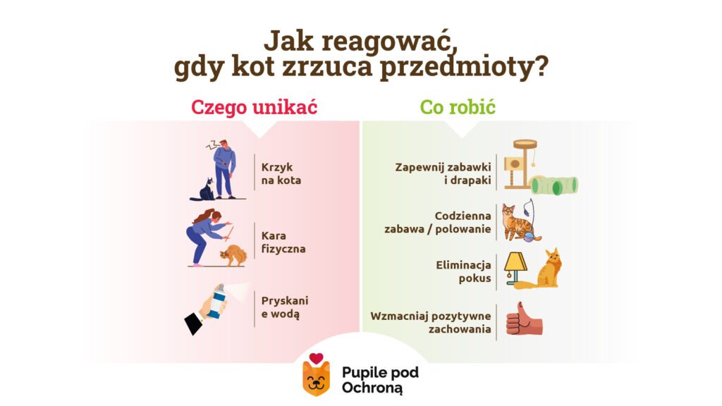 Praktyczna infografika dzieli się na dwie części: "Czego unikać" i "Co robić", gdy kot zrzuca przedmioty. Po lewej stronie przedstawiono negatywne reakcje, takie jak krzyk, kara fizyczna i pryskanie wodą. Po prawej stronie znajdują się zalecane, pozytywne rozwiązania: zapewnienie zabawek i drapaków, codzienna zabawa, eliminacja pokus oraz wzmacnianie dobrych zachowań.