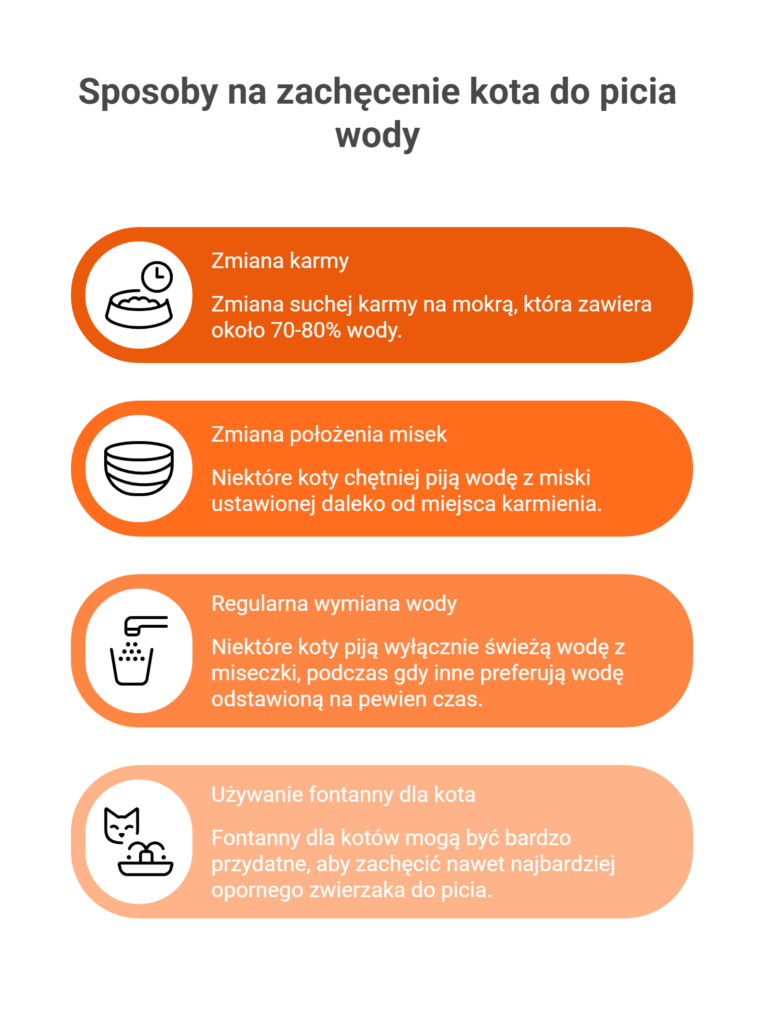 Sposoby na zachęcenie kota do picia wody
