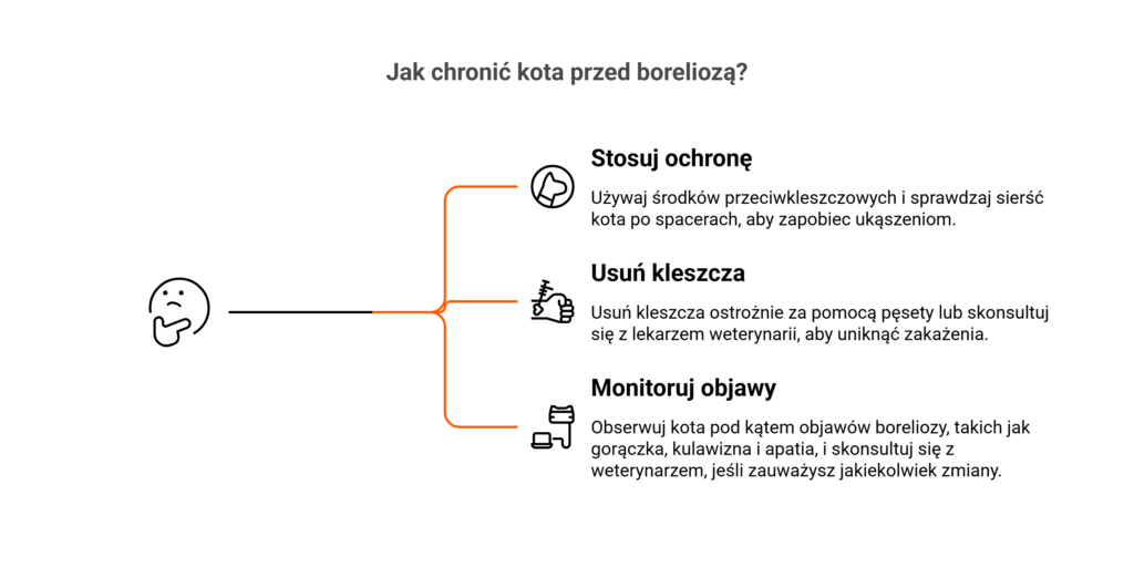 Infografika jak chronić kota przed boreliozą