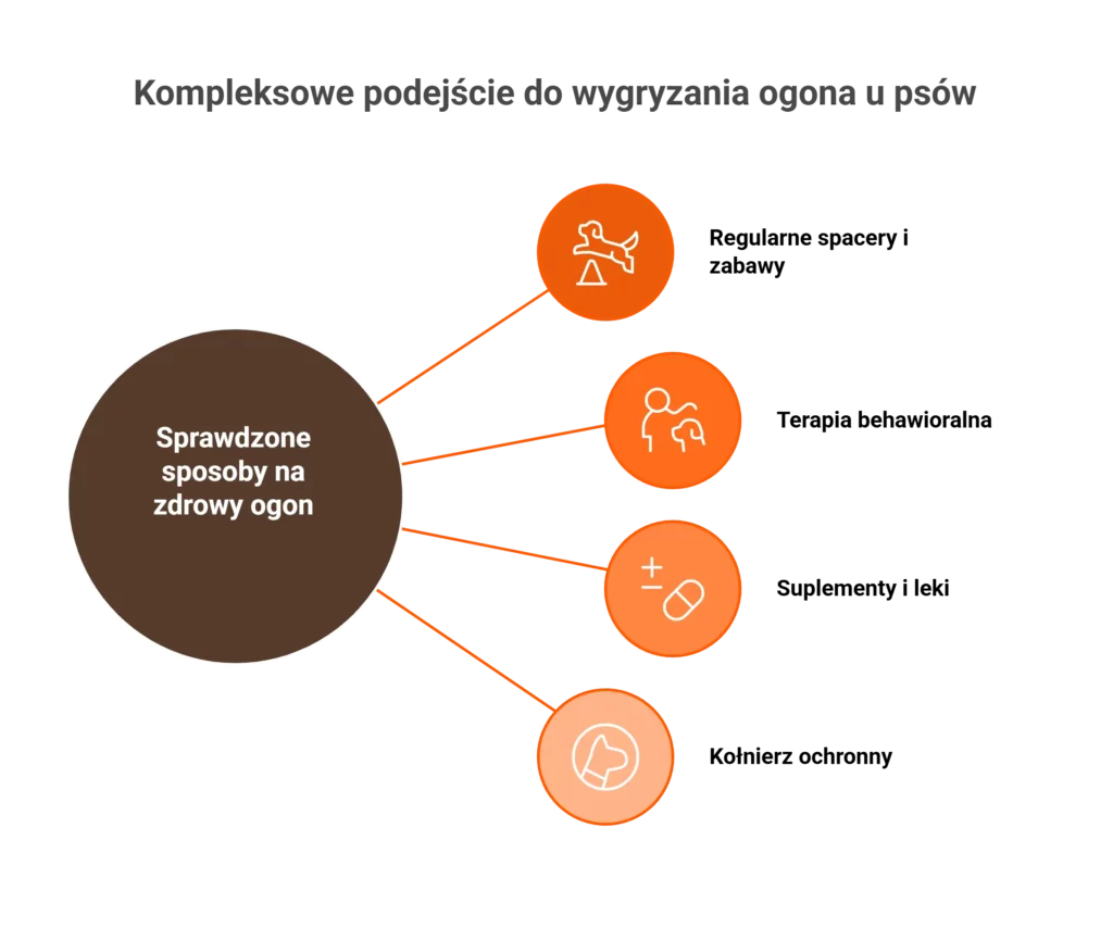 Schemat przedstawiający sposoby radzenia sobie z psem gryzącym ogon