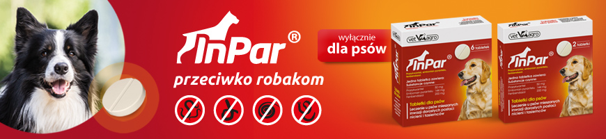 Robaki nie mają wakacji. Inpar dla psów.