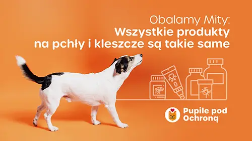 Wszystkie produkty na pchły i kleszcze