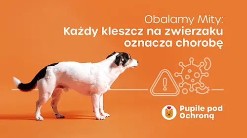 baner przedstawiający psa