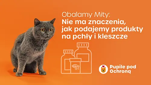 Obalamy mity o pasożytach