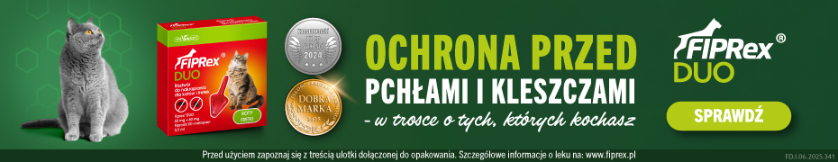 Google Ads Fiprex DUO kot 930 × 180 Gorny baner