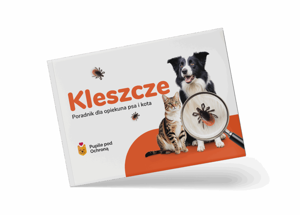 Ilustracja poradnika dla opiekuna psa i kota o tytule kleszcze