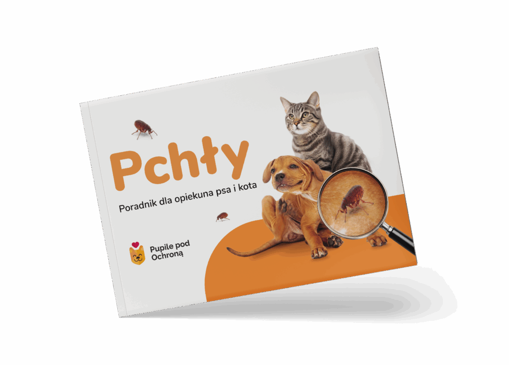 Ilustracja poradnika dla opiekuna psa i kota o tytule pchły