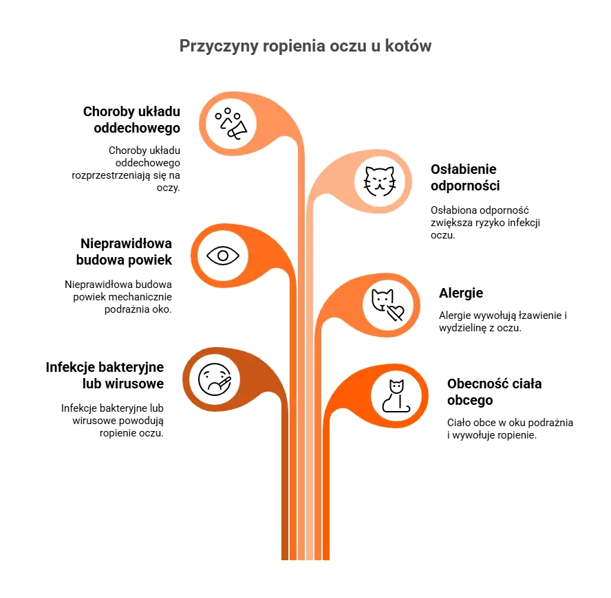 Infografika przedstawiająca najczęstsze przyczyny problemów z oczami u kota, w tym ropiejące oczy