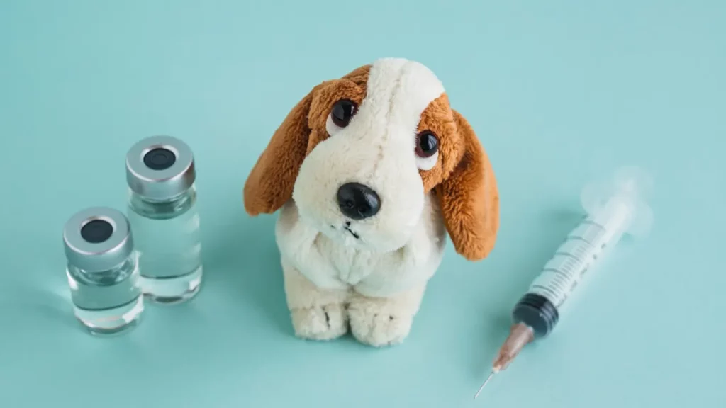Kiedy szczepić psa? Kompletny przewodnik dla opiekunów