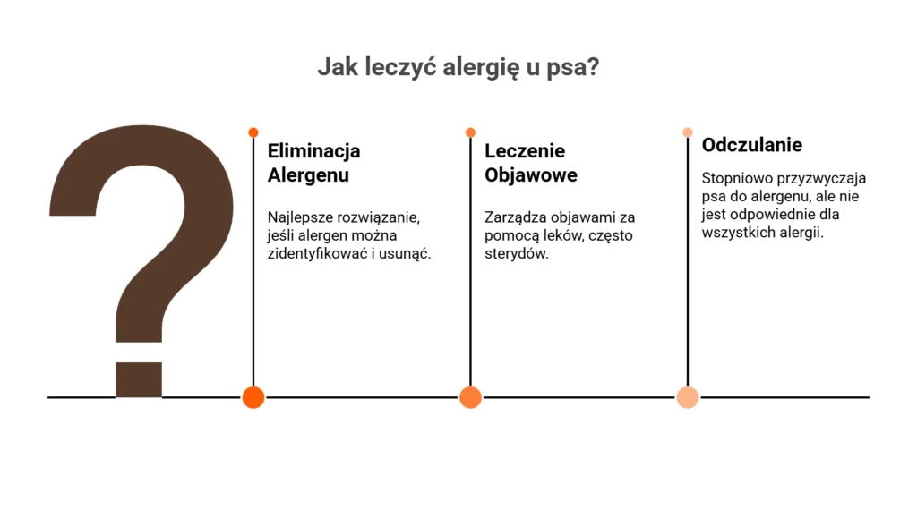 Infografika z pytaniem „Jak leczyć alergię u psa?” wskazująca na różne metody leczenia.