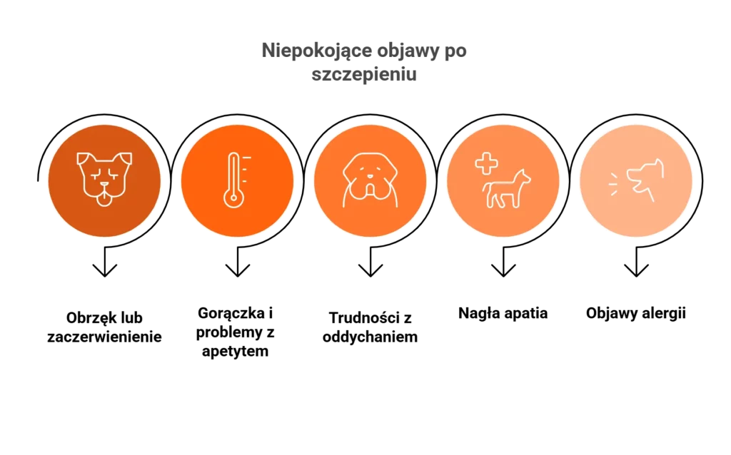 Ikony przedstawiające niepokojące objawy po szczepieniu psa: obrzęk, gorączka, apatia.