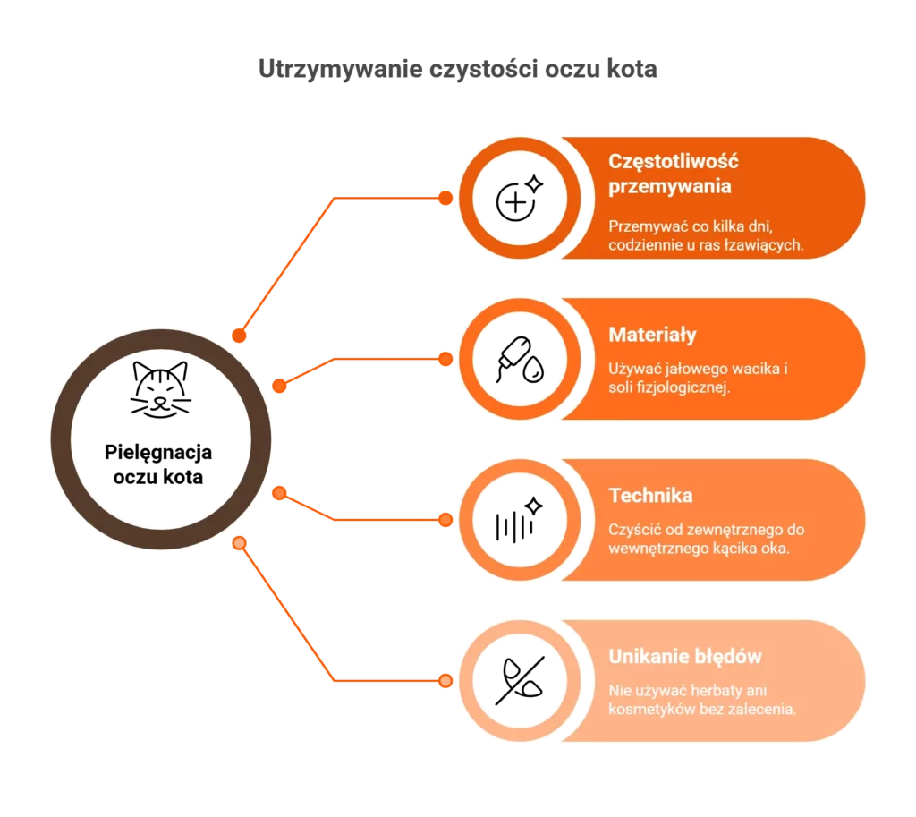 Infografika: Prawidłowa pielęgnacja oczu kota krok po kroku, aby zapobiec łzawieniu.