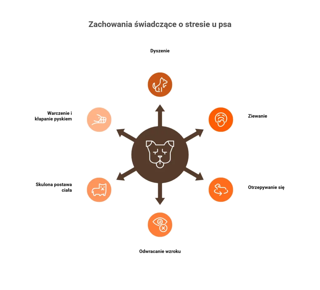 Infografika prezentująca 6 kluczowych zachowań świadczących o stresie u psa