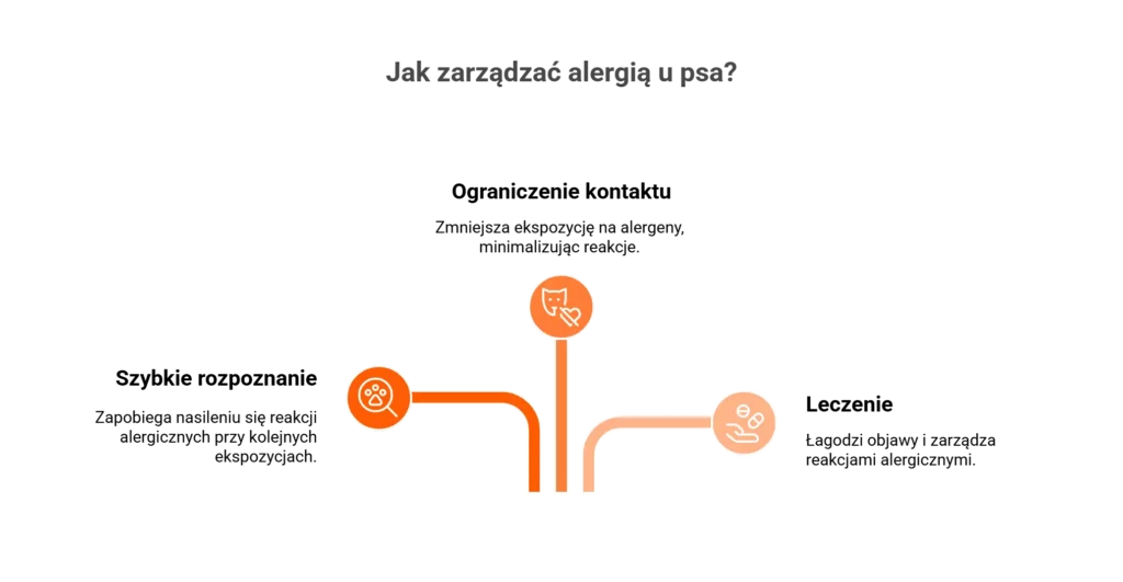 Infografika pokazująca, jak zarządzać alergią u psa: diagnoza, prewencja i leczenie