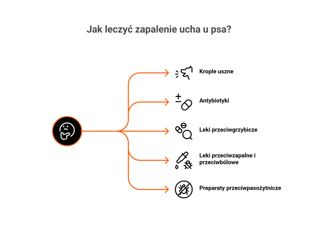 Ikony przedstawiające metody leczenia weterynaryjnego na zapalenie ucha u psa: krople, leki i antybiotyki.