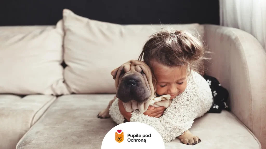 Dziewczynka przytulająca psa rasy Shar Pei – bezpieczeństwo przy kaszlu kenelowym