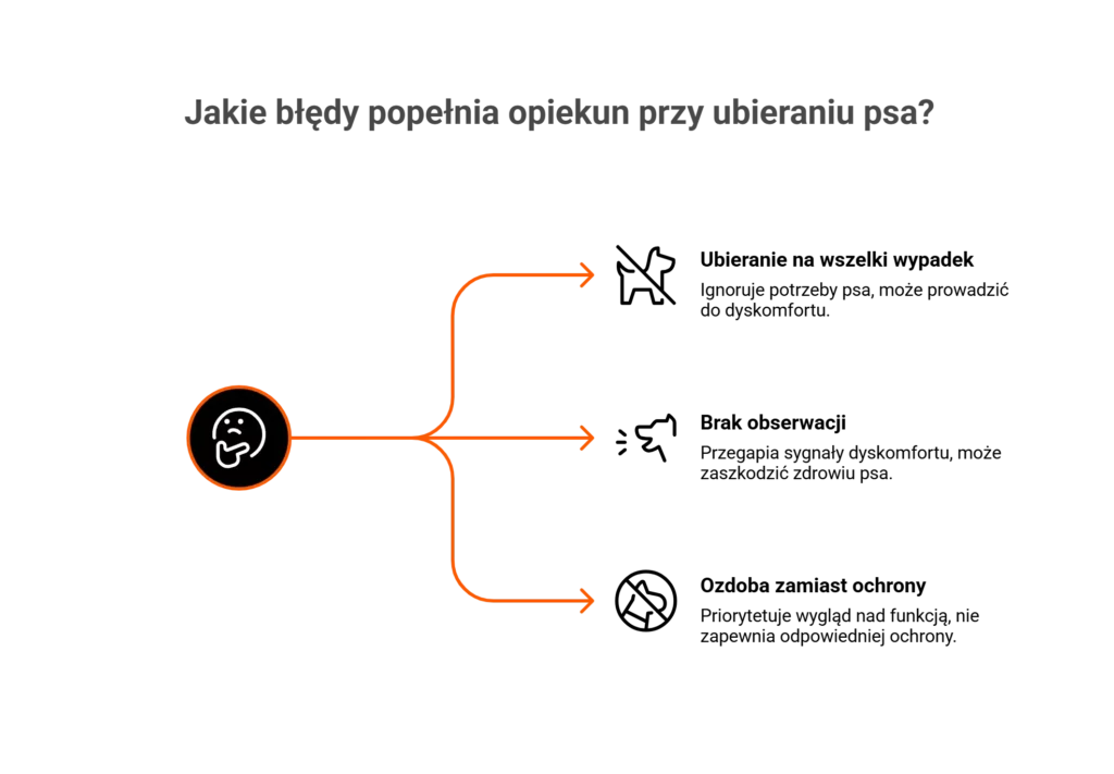 Infografika: najczęstsze błędy opiekunów. Dowiedz się, czy zimą ubierać psa tylko dla ozdoby