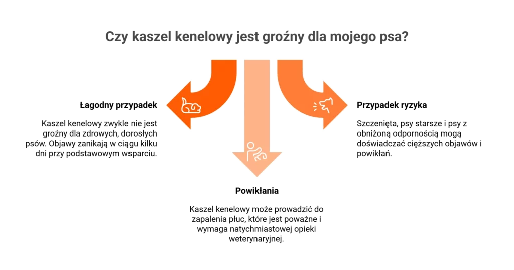 Przebieg i powikłania kaszlu kenelowego