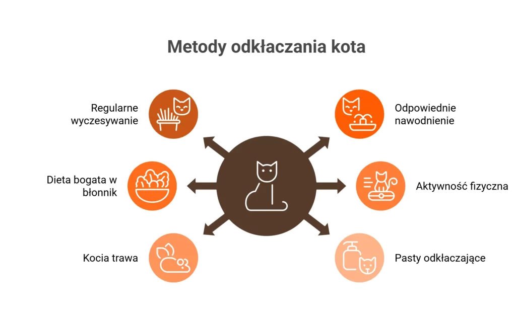 Infografika przedstawiająca 6 sposobów na skuteczne odkłaczanie kota