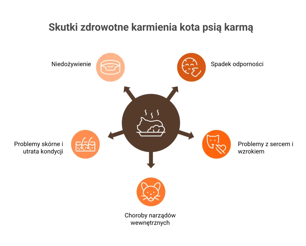 Infografika pokazująca skutki zdrowotne: psia karma dla kota powoduje problemy z sercem, wzrokiem i nerkami.