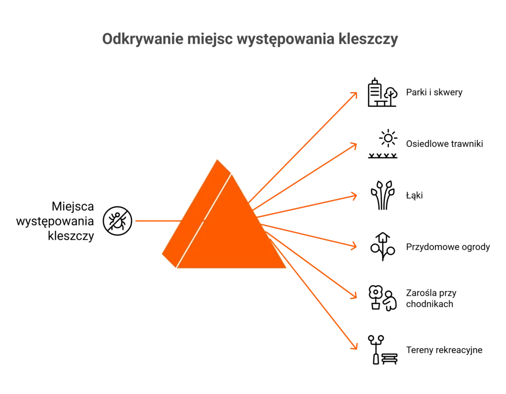 Infografika pokazująca miejskie i wiejskie miejsca, w których trwa sezon na kleszcze.