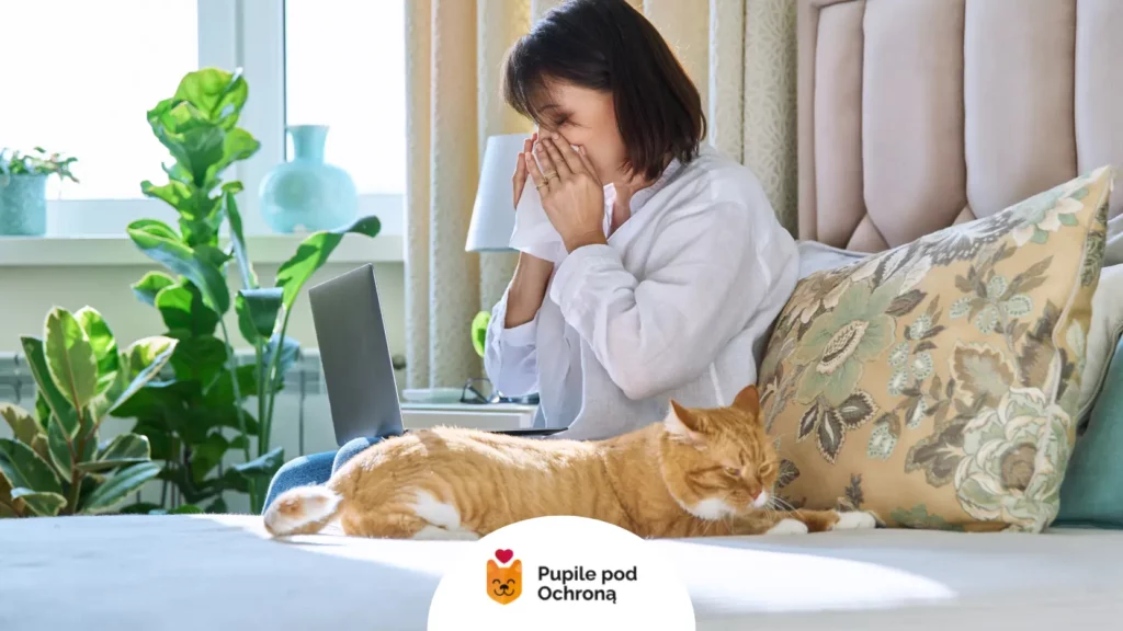Kobieta z chusteczką przy nosie obok kota, ilustrująca pytanie, czy koci katar jest zaraźliwy dla ludzi.