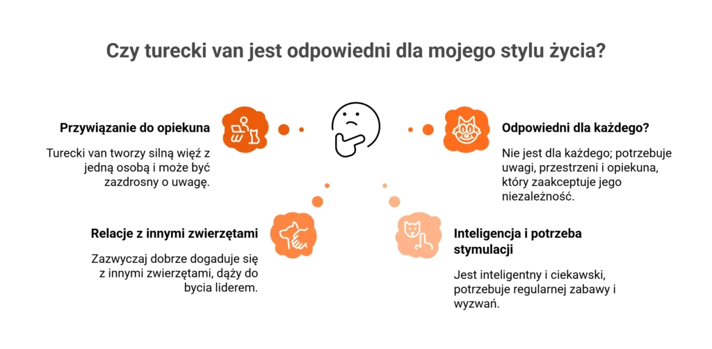 Schemat analizujący, czy turecki van pasuje do Twojego stylu życia, opisujący inteligencję, więź z opiekunem i relacje z innymi zwierzętami.