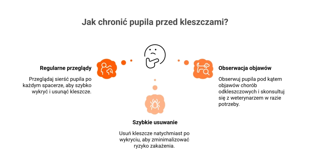 Jak chronić pupila przed kleszczami – regularne przeglądy, szybkie usuwanie i obserwacja objawów.