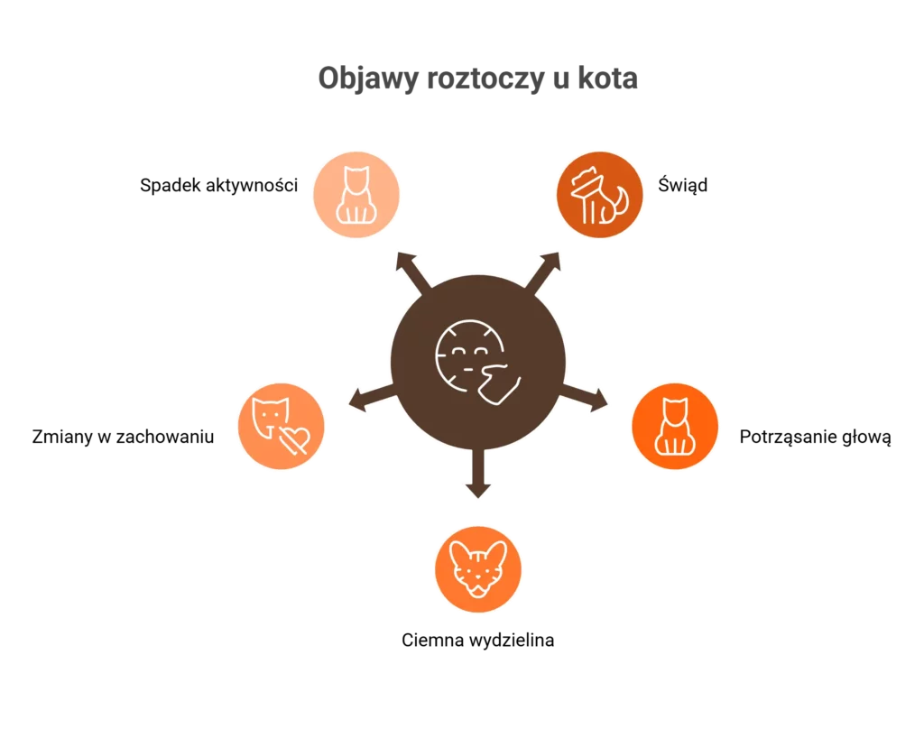 Schemat graficzny pokazujący najczęstsze objawy, jakie dają roztocza u kota, m.in. świąd i spadek aktywności.