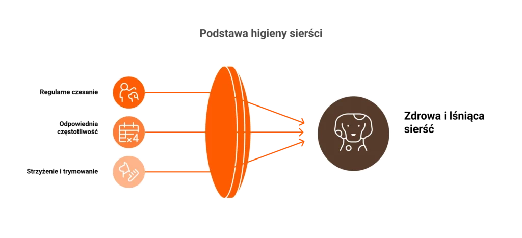 Infografika przedstawiająca czesanie i strzyżenie, aby higiena u psa była zachowana.