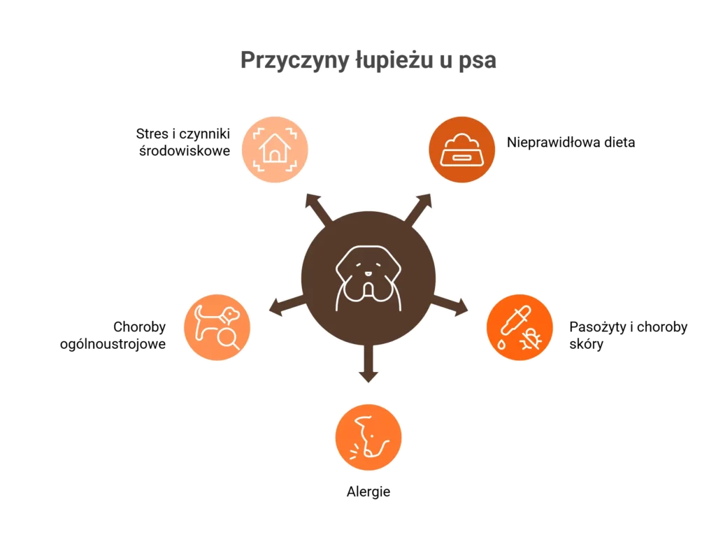 Grafika obrazująca przyczyny łupieżu u psa, w tym dietę, stres i pasożyty