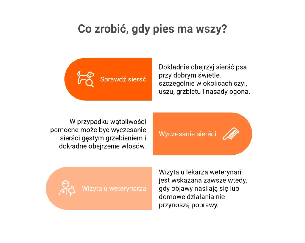 Czy wszy mogą znajdować się w legowisku i domu?Choć wszy najlepiej rozwijają się na organizmie psa, ich jaja oraz pojedyncze pasożyty mogą znajdować się także w otoczeniu zwierzęcia. Najczęściej trafiają na legowiska, koce, szczotki, ubrania czy tapicerkę.Dlatego podczas leczenia wszawicy bardzo ważne jest dokładne wypranie tekstyliów i wyczyszczenie akcesoriów psa. Bez tego pasożyty mogą ponownie trafić na sierść zwierzęcia i utrudniać całkowite pozbycie się problemu.Czy wszy u psa są groźne dla człowieka?Widok wszy w sierści psa często budzi niepokój domowników, jednak w większości przypadków pasożyty te nie stanowią zagrożenia dla ludzi. Psie wszy są silnie związane ze swoim gospodarzem i przystosowane do życia wyłącznie na skórze psa.Nie oznacza to jednak, że problem można bagatelizować. Wszawica powoduje u zwierzęcia silny dyskomfort, świąd i podrażnienia skóry, a dodatkowo może łatwo rozprzestrzenić się na inne psy mieszkające w domu.Czy wszy z psa mogą przejść na człowieka?Wszy psie nie przechodzą na człowieka i nie są w stanie rozmnażać się na ludzkiej skórze. Pasożyty te są wyspecjalizowane i przystosowane do życia wyłącznie na organizmie psa. Może zdarzyć się chwilowy kontakt pasożyta z ubraniem lub skórą człowieka, jednak wszy nie będą w stanie przetrwać w takich warunkach przez dłuższy czas.Czy człowiek może zarazić się pasożytami od psa?Choć wszy psie nie są groźne dla ludzi, psy mogą przenosić także inne pasożyty i choroby odzwierzęce. Z tego powodu każdą niepokojącą zmianę skórną u zwierzęcia warto skonsultować z lekarzem weterynarii.Regularna profilaktyka przeciw pasożytom, kontrola sierści psa i dbanie o higienę legowiska pomagają ograniczyć ryzyko problemów zarówno u zwierząt, jak i domowników.Co zrobić, gdy pies ma wszy?Jeśli zauważysz u psa intensywne drapanie, wygryzanie sierści lub drobne pasożyty poruszające się przy skórze, warto jak najszybciej sprawdzić sierść zwierzęcia. Nieleczona wszawica może prowadzić do podrażnień skóry, stanów zapalnych, a u osłabionych psów nawet do anemii.Szybka reakcja pozwala nie tylko szybciej pozbyć się pasożytów, ale także ograniczyć ryzyko zarażenia innych zwierząt w domu.Jak sprawdzić, czy pies ma wszy?Najlepiej dokładnie obejrzeć sierść psa przy dobrym świetle, szczególnie w okolicach szyi, uszu, grzbietu i nasady ogona. Dorosłe wszy wyglądają jak małe żółtobrązowe owady poruszające się między włosami.W sierści mogą być widoczne także jasne jajeczka, czyli gnidy, mocno przyklejone do włosów. Dodatkowym sygnałem są zaczerwienienia skóry, łupież, miejscowe wyłysienia i ślady po drapaniu.W przypadku wątpliwości pomocne może być wyczesanie sierści gęstym grzebieniem i dokładne obejrzenie włosów.