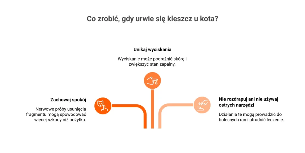 Infografika instruktażowa wskazująca najważniejsze zasady postępowania, gdy pojawi się urwany kleszcz