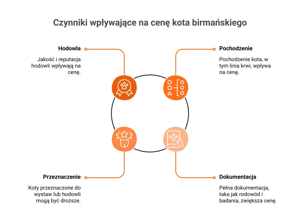 Kołowy wykres pokazujący, od czego zależy cena kota birmańskiego.