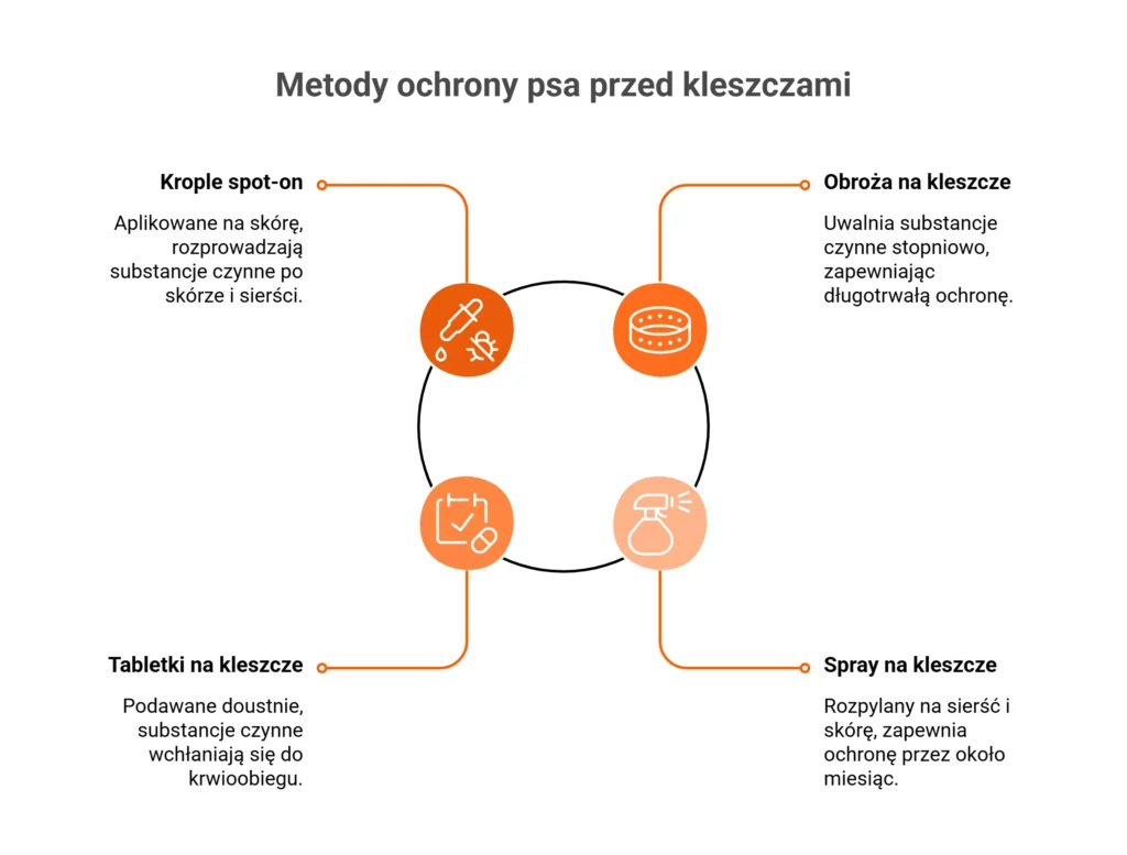 Jak chronić psa przed kleszczami? Poznaj sposoby na pasożyty: krople spot-on, obroże i tabletki.