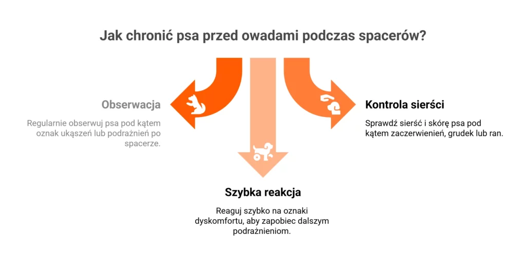 Komary u psa - Infografika przedstawiająca trzy kroki: ochrona psa przed owadami, obserwacja i kontrola