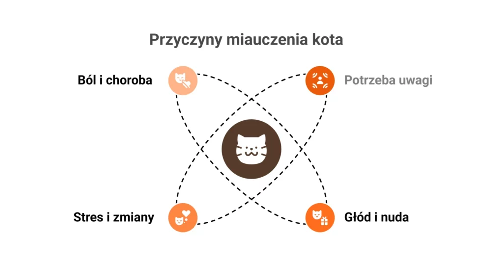 Infografika przedstawiająca przyczyny miauczenia i sytuacje, gdy kot płacze.