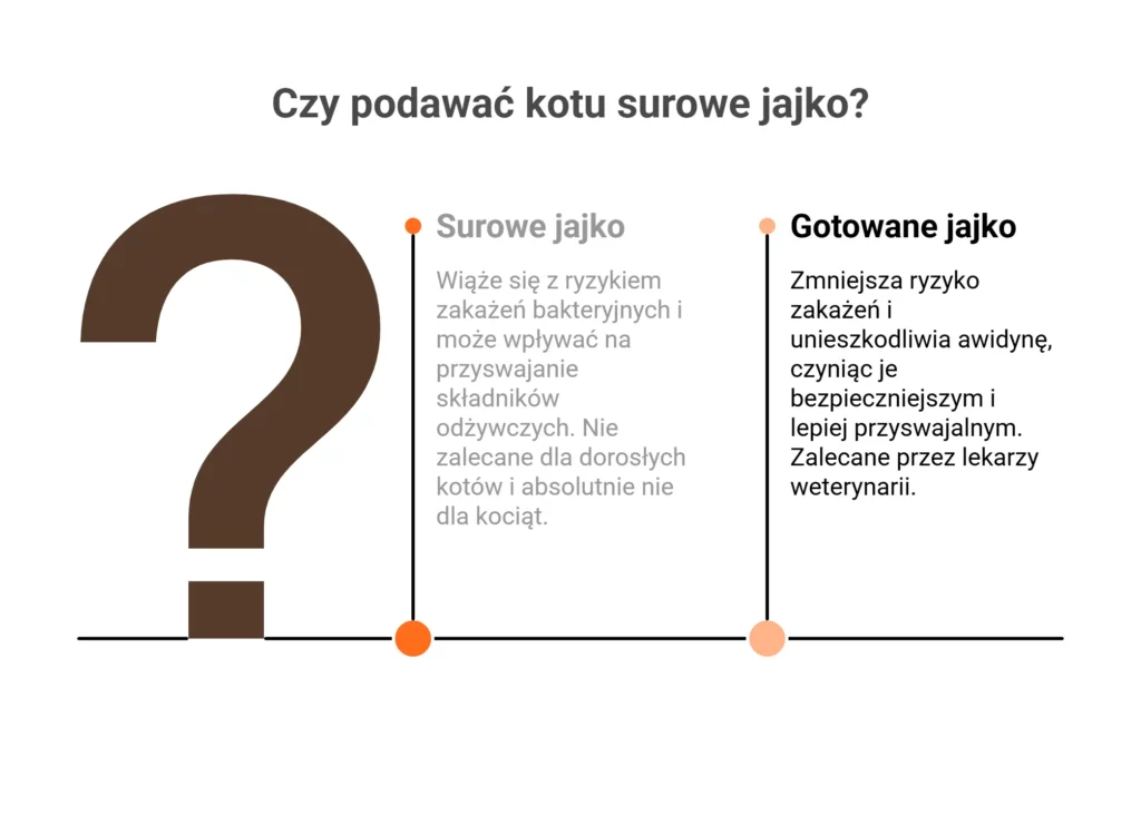 Porównanie: surowe kontra ugotowane jajko dla kota. Co wybrać dla zdrowia?