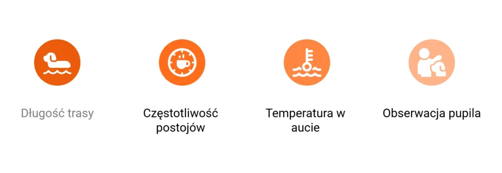 Ikony przedstawiające zasady bezpiecznej jazdy autem na wyjazd z psem.