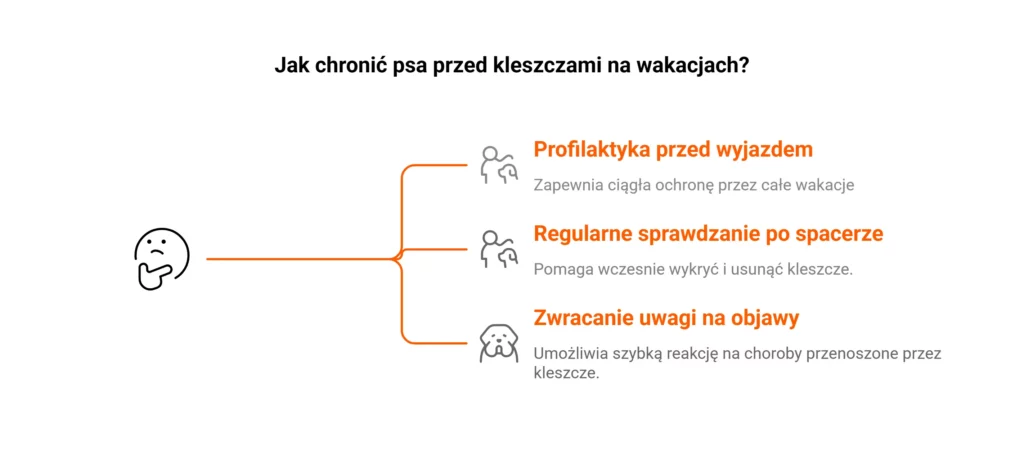 Infografika: jak chronić pupila przed kleszczami na wakacje z psem.
