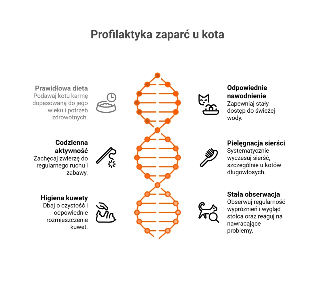 Infografika: profilaktyka a zatwardzenie u kota.